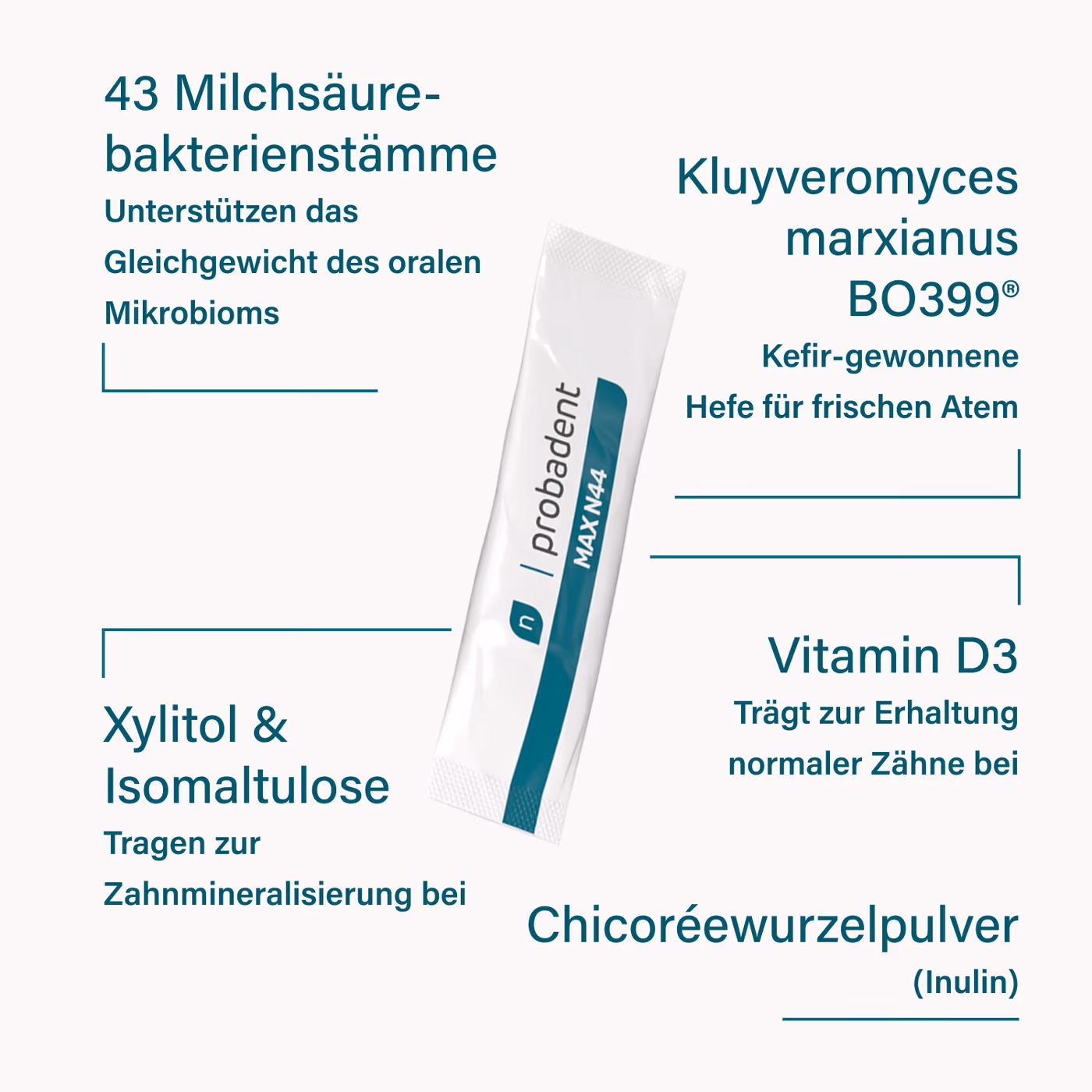ProbaDent MAX Inhaltsstoffe