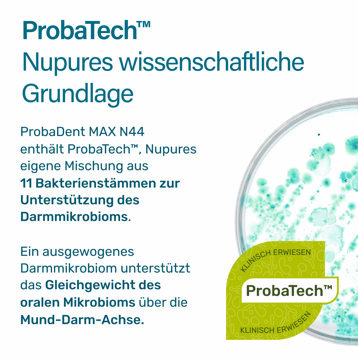 ProbaTech Technologie