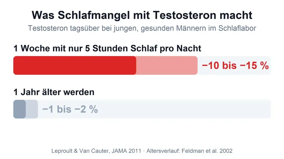 Animierte Grafik: Eine Woche mit fünf Stunden Schlaf senkte das Testosteron um 10 bis 15 Prozent, ein Jahr Älterwerden um 1 bis 2 Prozent